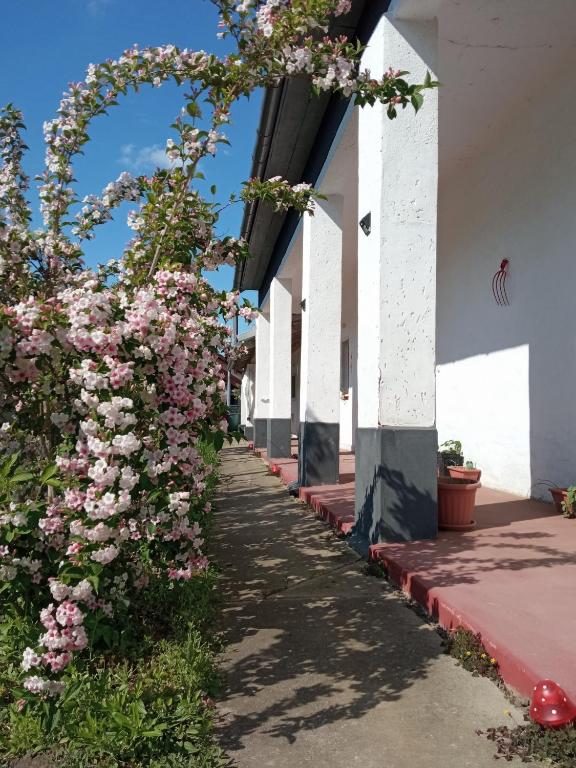 Szelíd Tisza Vályog Vendégház Tiszafüred