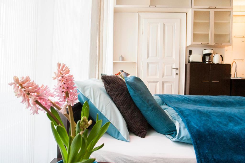 Viktoria Central Apartment