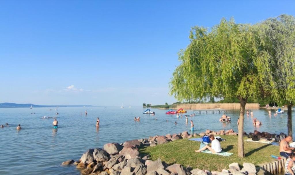 Lido Dalma Apartman 1