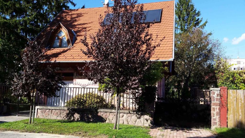 Holiday home in Fonyod/Balaton 18705